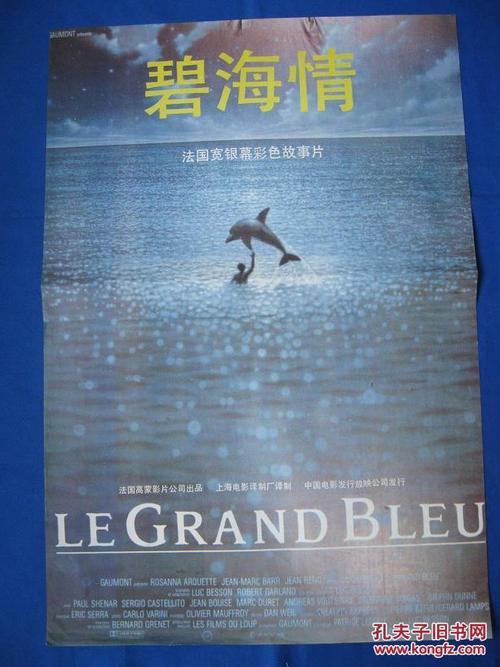 吉備国際大学市场开发文凭证书